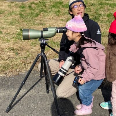 おしらせの画像