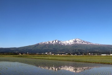 早春の鳥海山の画像